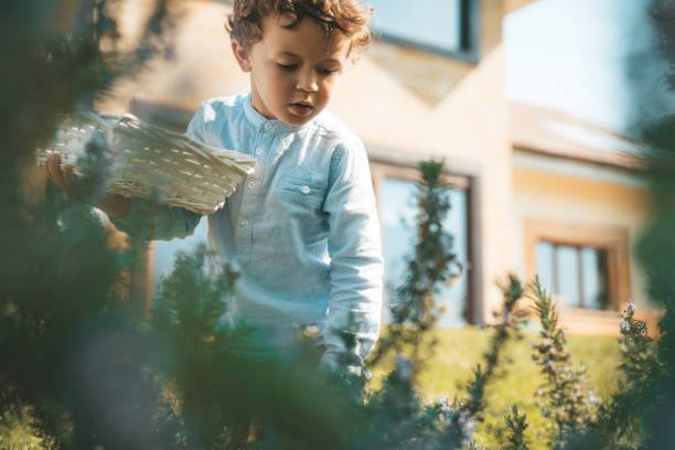hunting for easter eggs - garden decoration stock pictures, royalty-free photos & images