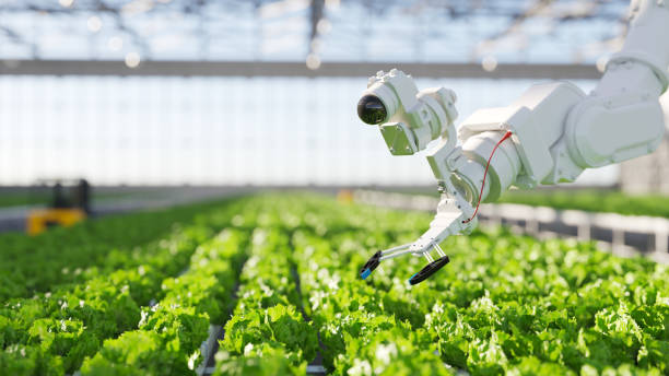 hydroponic robot farming - food stock pictures, royalty-free photos & images