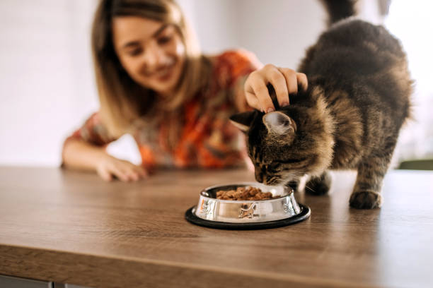 i love watching you eating - food stock pictures, royalty-free photos & images