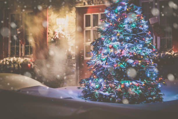 illuminated christmas tree at night during snowstorm - garden decoration stock pictures, royalty-free photos & images