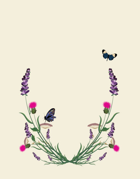 illustration of a lavender frame with wild flowers, pink thorns, butterflies, in violet tones - garden decoration stock pictures, royalty-free photos & images