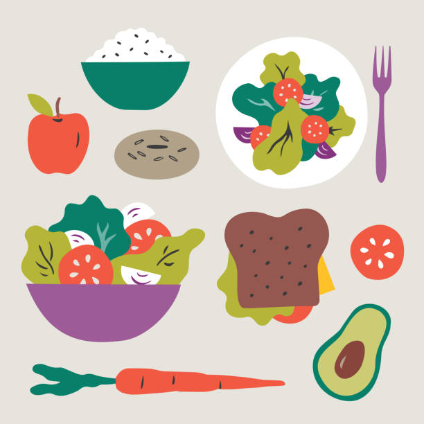 illustration of healthy food choices — salad, lunch, fruit and vegetables, snacks - food stock illustrations