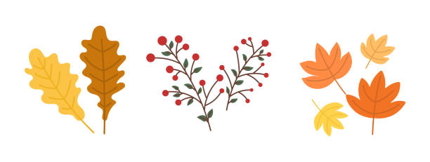 illustration of leaves, plants, cranberry tree at thanksgiving - home decoration stock illustrations