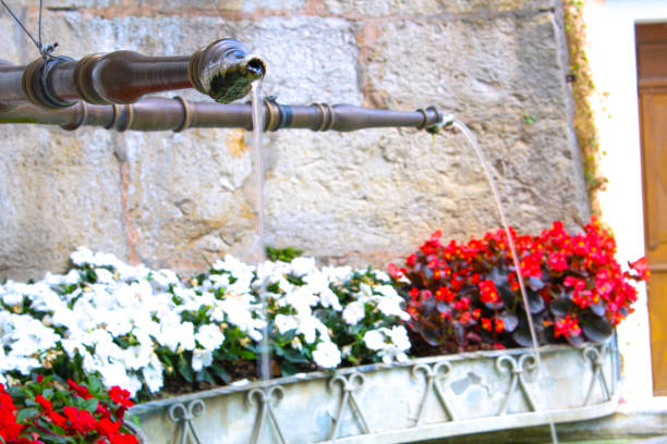 img_0289.jpg - garden decoration stock pictures, royalty-free photos & images