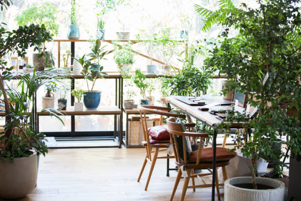 inside of a beautiful shop. - home decoration stock pictures, royalty-free photos & images