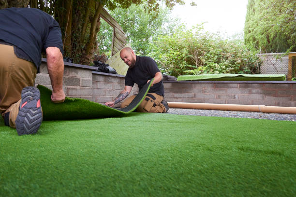 installation d’herbe fausse - garden decoration photos et images de collection