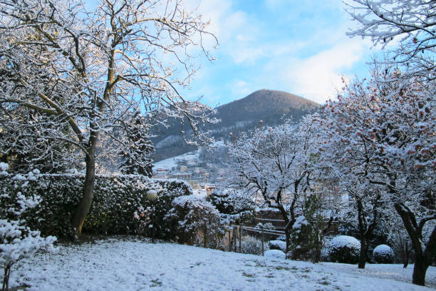 italian garden in winter with hills in background - garden decoration stock pictures, royalty-free photos & images