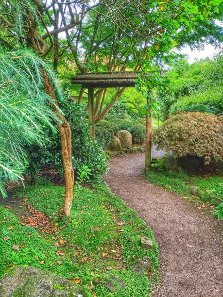 japanese style garden - garden decoration stock pictures, royalty-free photos & images