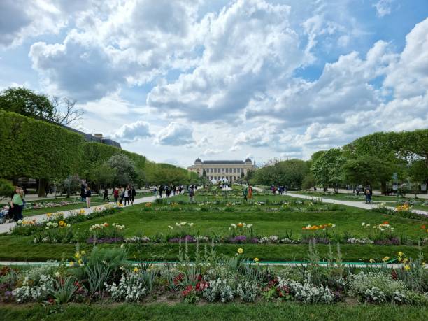 jardin des plantes - garden decoration stock pictures, royalty-free photos & images