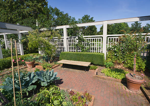 jardin potager avec patio et lits, ornement floral jardin des plantes - garden decoration photos et images de collection