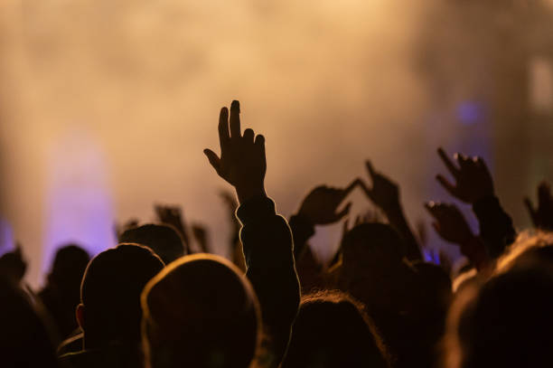 June 2024, Baden-Württemberg, Neuhausen ob Eck: Festival visitors watch a concert by the band K.I.Z. On the grounds of the Southside Festival. The...