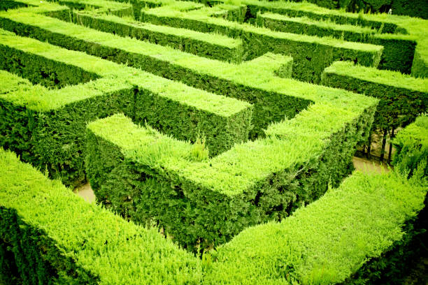 labyrinth - garden decoration stock pictures, royalty-free photos & images