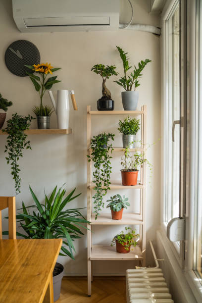 ladder with flowers in the apartment - home decoration stock pictures, royalty-free photos & images