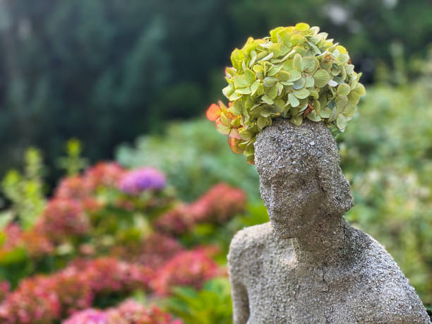 lady statue in the garden crowned with a single hydrangea blossom - garden decoration stock pictures, royalty-free photos & images