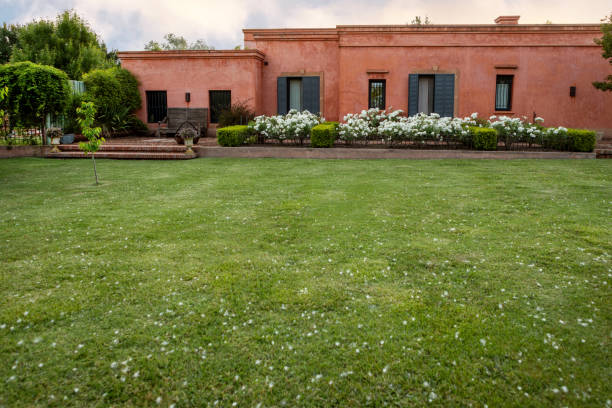 landscaping and garden design - garden decoration stock pictures, royalty-free photos & images