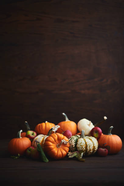 large collection of different pumpkin varieties in rustic setting for fall and thanksgiving - home decoration stockfoto's en -beelden