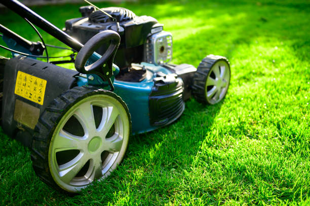 lawn mower on green grass in a sunny day. - garden decoration stock pictures, royalty-free photos & images