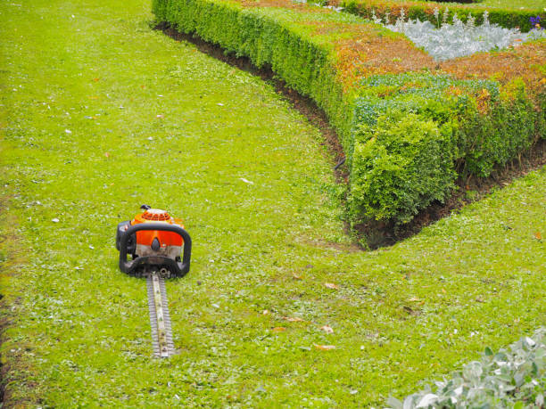 lawn mower trimming a garden. - garden decoration stock pictures, royalty-free photos & images