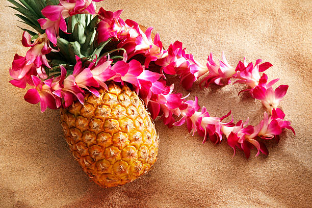 lei on pineapple at the beach - food stock pictures, royalty-free photos & images