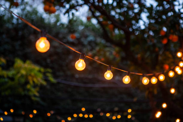 light bulbs hanging from cable against back yard - garden decoration stock pictures, royalty-free photos & images