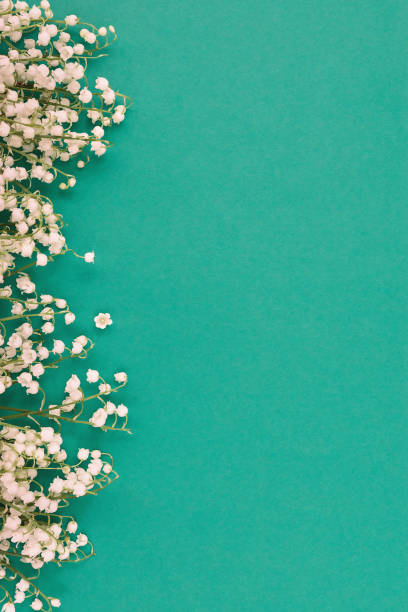 lily of the valley flowers from one side on green background - garden decoration stock pictures, royalty-free photos & images