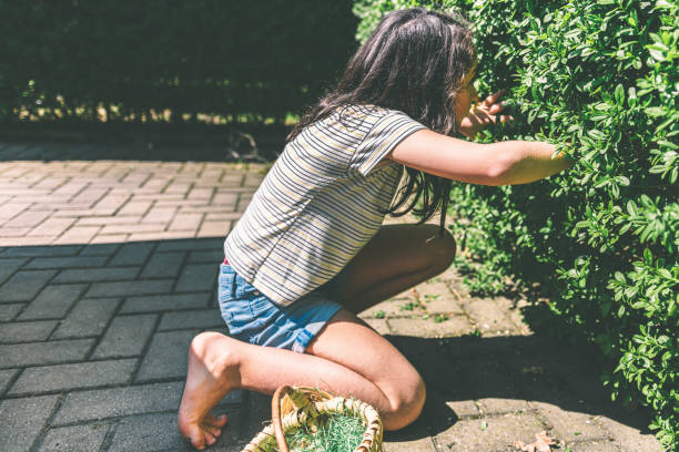 little girl looking for hidden easter eggs - garden decoration stock pictures, royalty-free photos & images