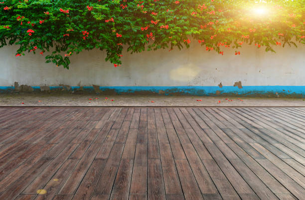 lush blooming critters planted on white wall in park, wooden floor plaza and walkway - garden decoration stockfoto's en -beelden