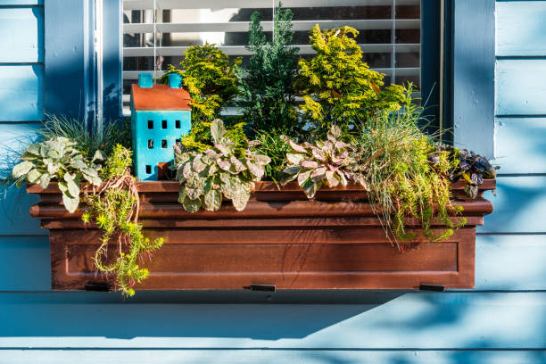 lush foliage decorates window box - garden decoration stockfoto's en -beelden