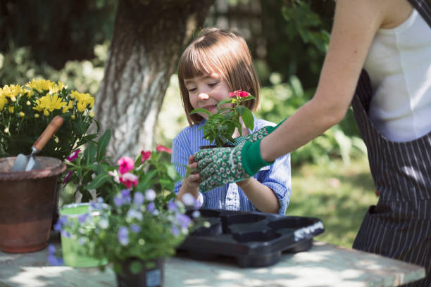 mère heureuse plantant des fleurs et s’amusant avec son petit enfant dans la cour arrière - garden decoration photos et images de collection