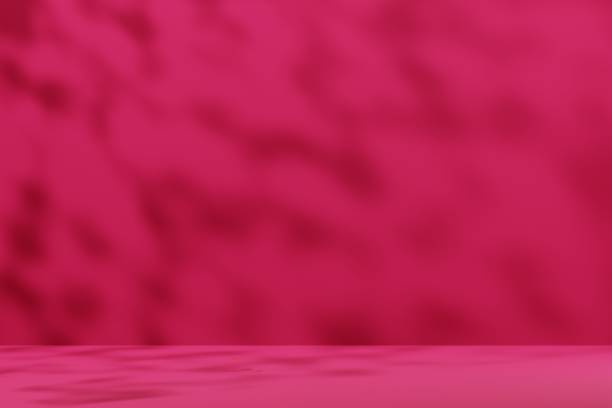 magenta space with natural shadows. perfect place for product. demonstrating viva magenta - trendy color of the year 2023 - garden decoration stock pictures, royalty-free photos & images