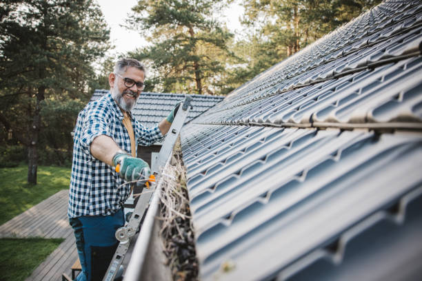 man cleaning leaves from guttering of house - home decoration stock pictures, royalty-free photos & images