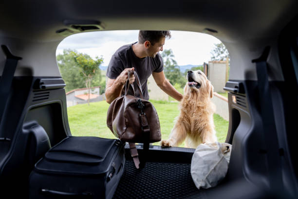 man going on a road trip with his dog - travel stock pictures, royalty-free photos & images