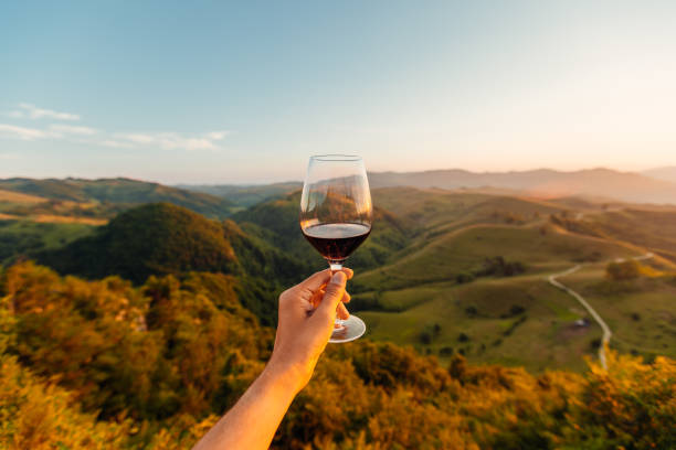 man holding a glass of red wine among hills and mountains, personal perspective view - food stock pictures, royalty-free photos & images