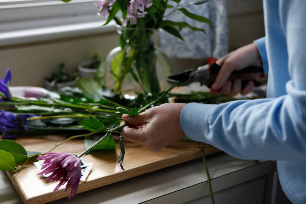 man in kitchen cutting flowers for arrangement, close-up - garden decoration stock-fotos und bilder