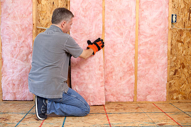 man installing insulation - home decoration stock pictures, royalty-free photos & images