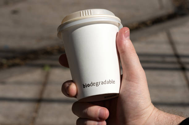man's hand holding a biodegradable cardboard coffee cup - junk food stock pictures, royalty-free photos & images