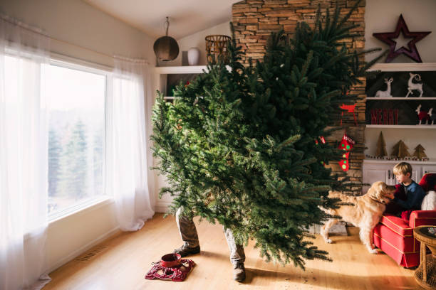 man setting up a christmas tree in the living room with son and dog sitting on a couch - home decoration photos et images de collection