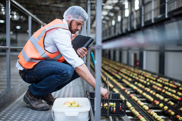 man sorting out apples in food processing plant - food stockfoto's en -beelden