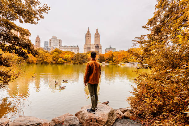 man standing by the lake, looking at autumn leaves colors in central park, new york city, usa - travel photos et images de collection