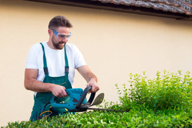 man trimming bushes in front of the house - garden decoration stock pictures, royalty-free photos & images