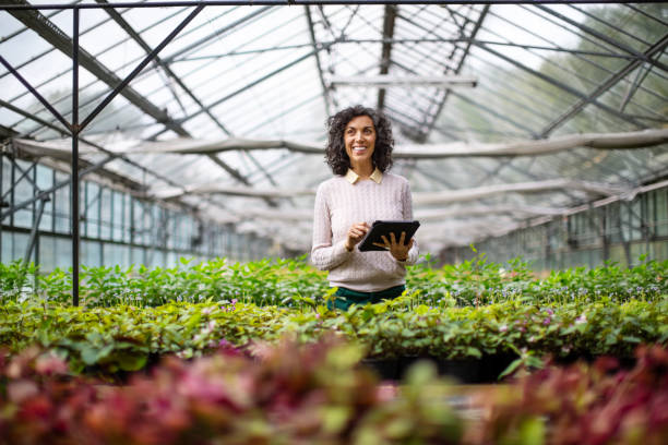 mature woman gardener with digital tablet at garden center - food stock pictures, royalty-free photos & images