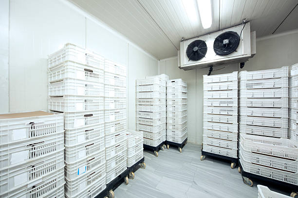 meat storage at -30 celcius - food stock pictures, royalty-free photos & images