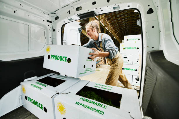 medium shot of smiling farmer putting freshly packed csa boxes into delivery van - food stock pictures, royalty-free photos & images