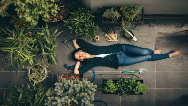 mi jardín en la azotea - home decoration fotografías e imágenes de stock