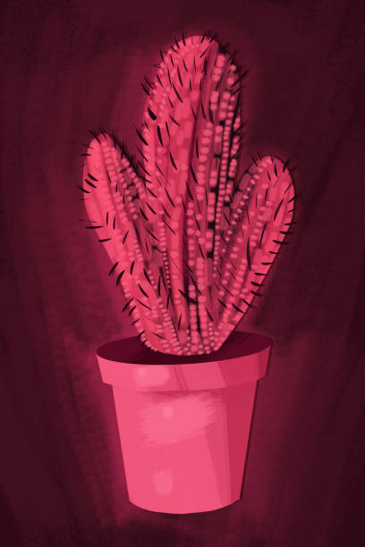 modern cactus - garden decoration stock illustrations