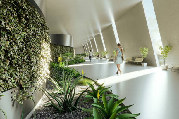 modern sustainable interior design - garden decoration stock pictures, royalty-free photos & images