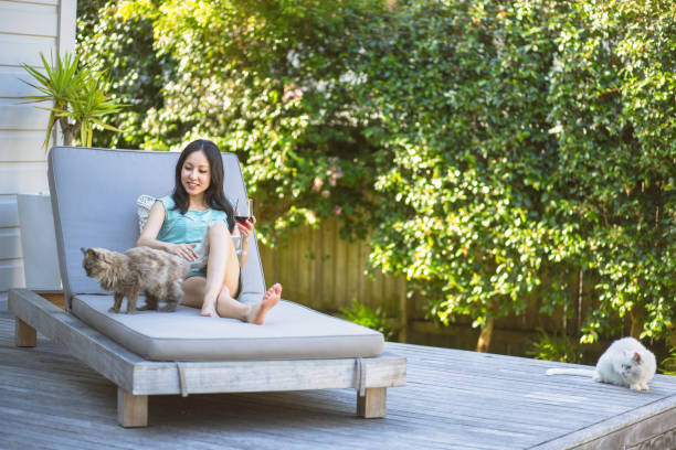 moment de détente en plein air sur la chaise longue avec verre de vin et de chats - garden decoration photos et images de collection