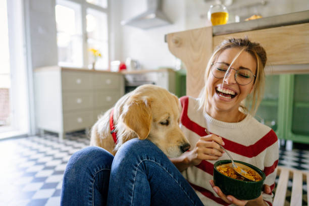 morning with my pet in our kitchen - food stock pictures, royalty-free photos & images