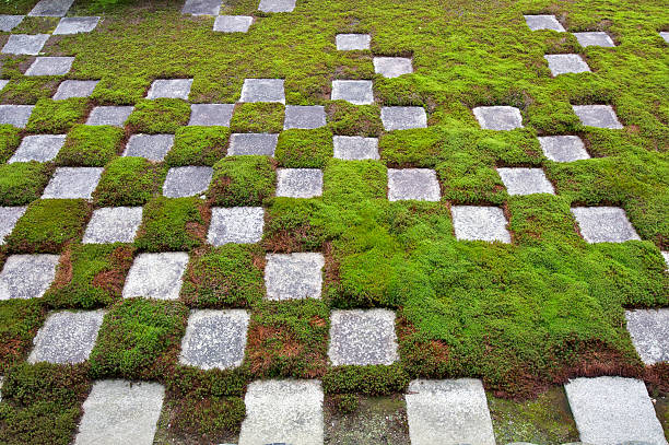 Moss and stone garden in a temple in Kyoto, Japan.