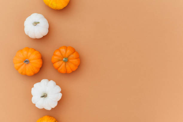 multicolored mini pumpkins on an orange background. autumn composition. autumn background. holiday halloween. - garden decoration stock pictures, royalty-free photos & images